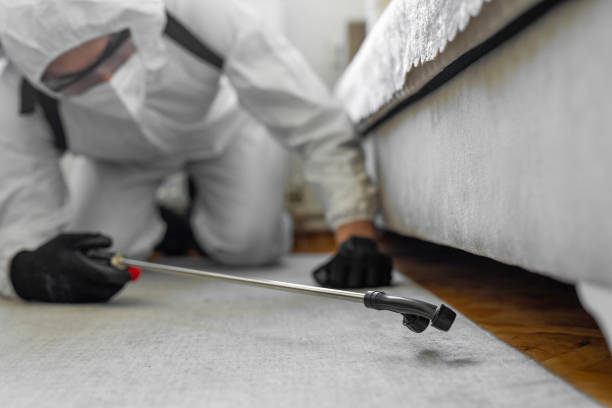 Professional Termite Control technician working in Greenville, IL