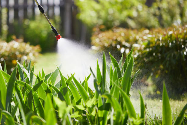 24/7 Emergency Termite Control experts in Greenville, IL